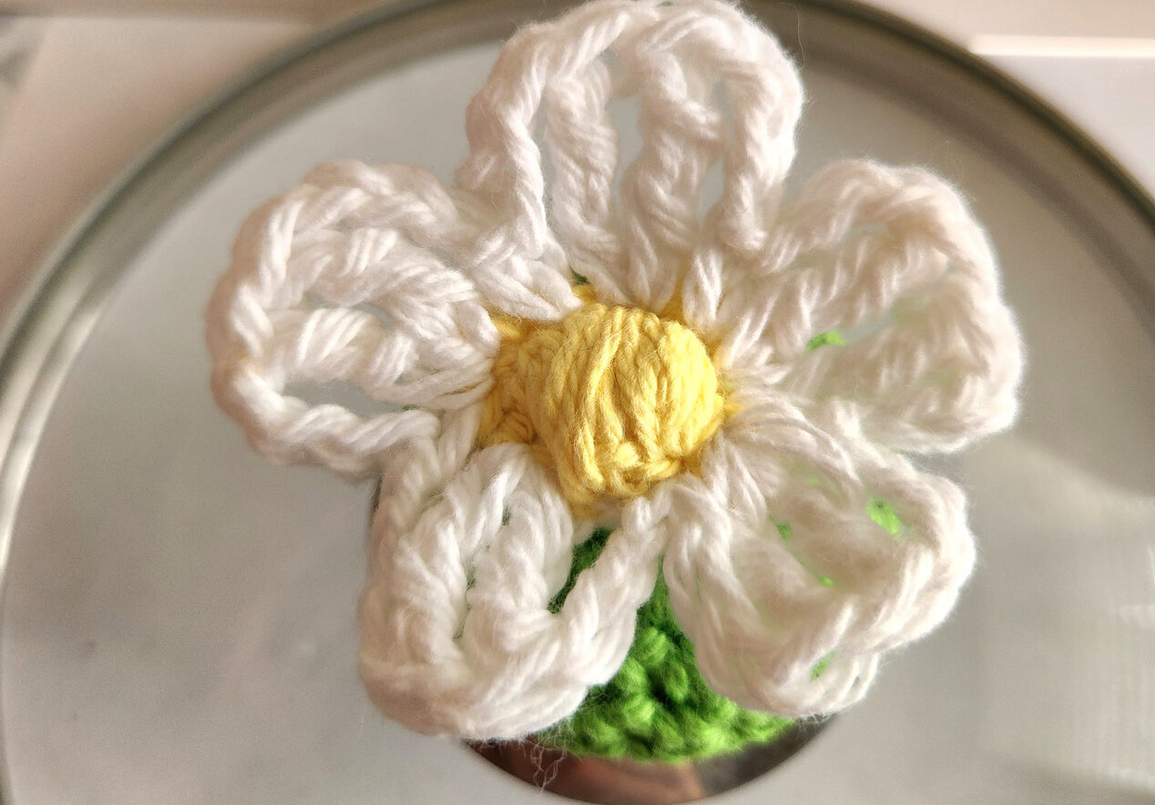 Crochet Daisy Pot Knob Cover Blog