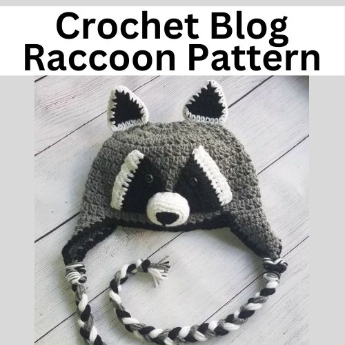 Crochet Blog Raccoon Hat